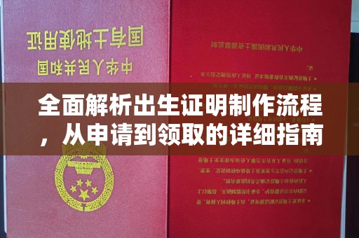金沙全面解析出生证明制作流程，从申请到领取的详细指南